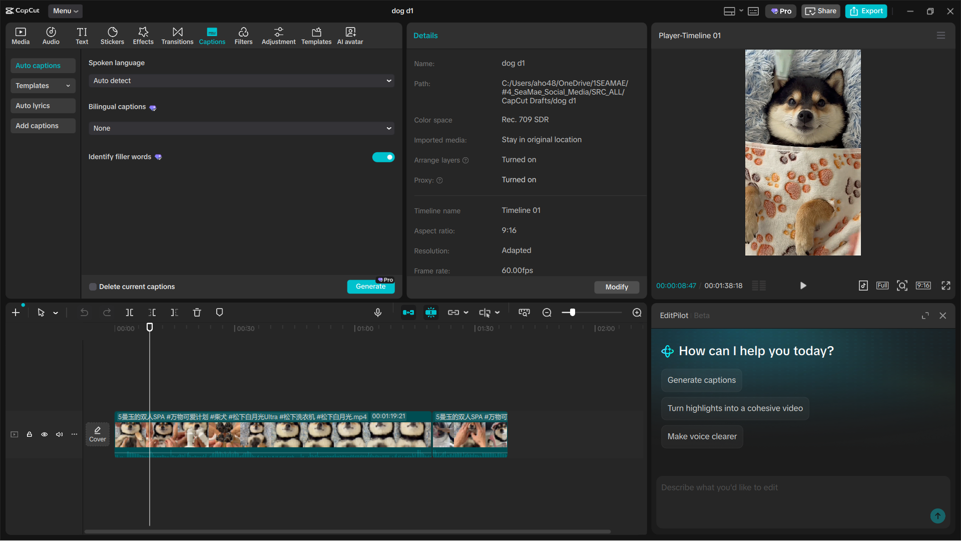Capcut Pro Feature