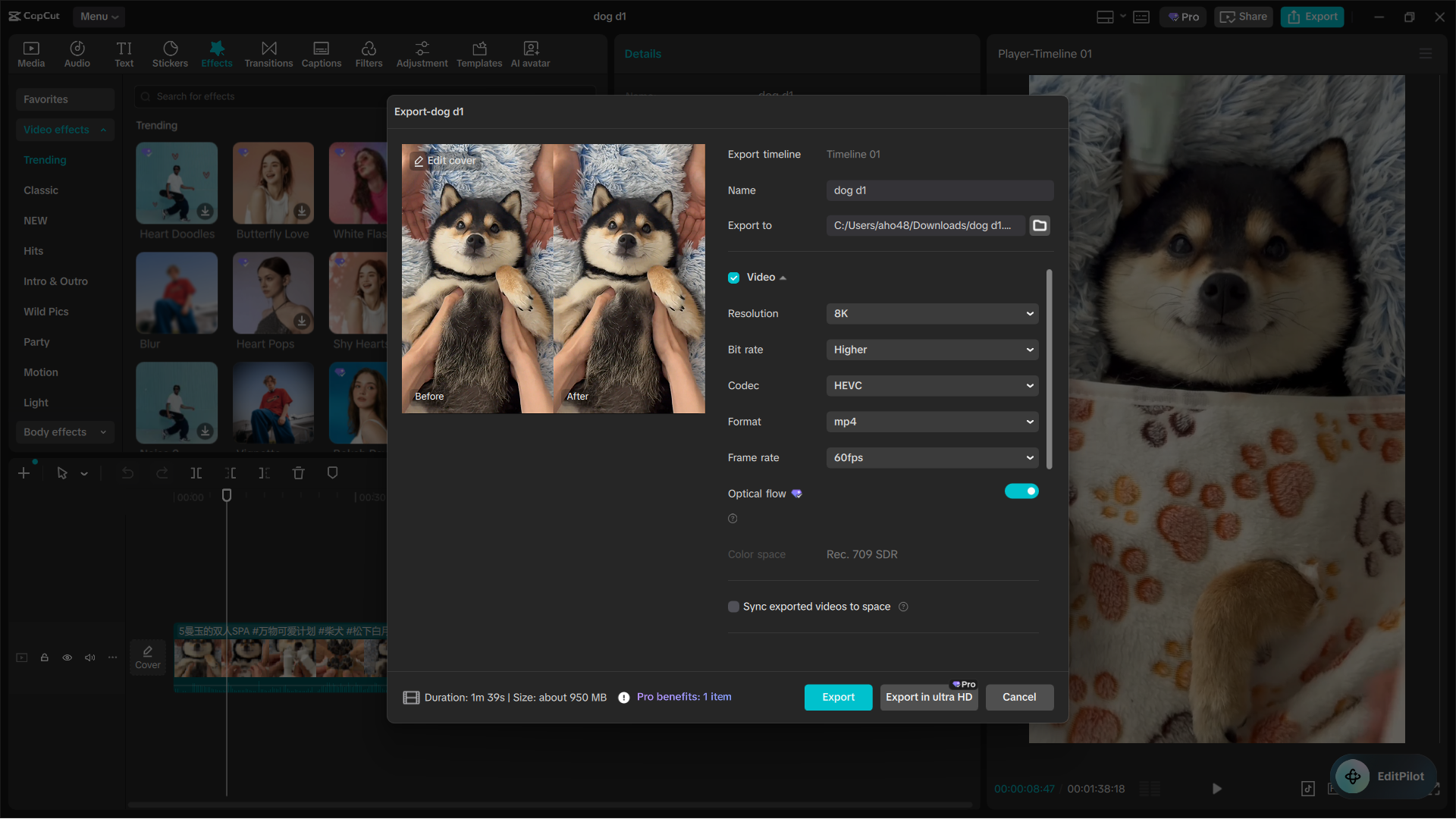 Capcut Pro Feature