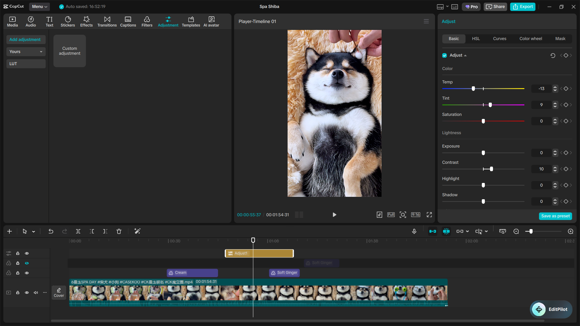 The Ultimate Capcut Color Grading Guide 8 Image 12