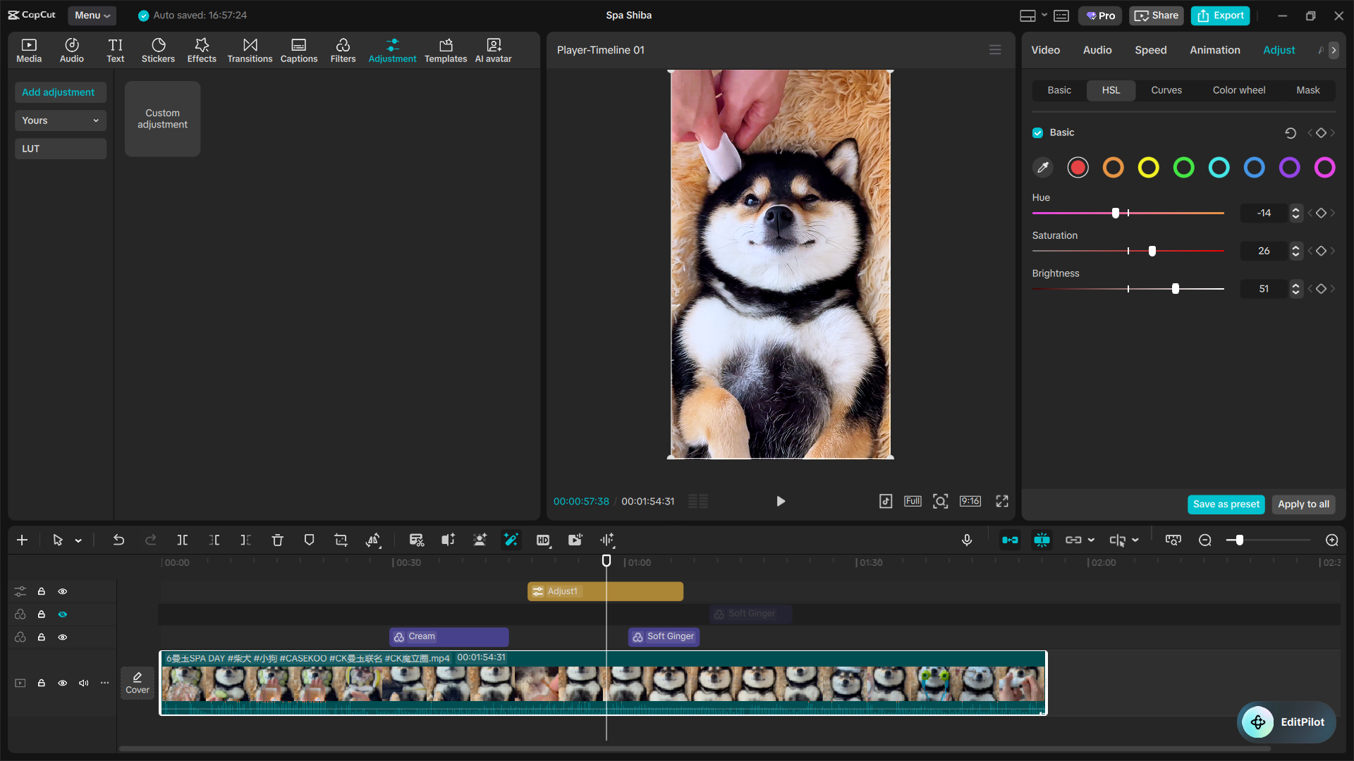 The Ultimate Capcut Color Grading Guide 10 Image 14