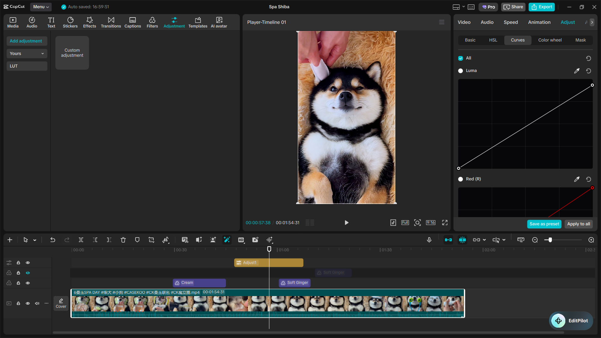 The Ultimate Capcut Color Grading Guide 11 Image 15