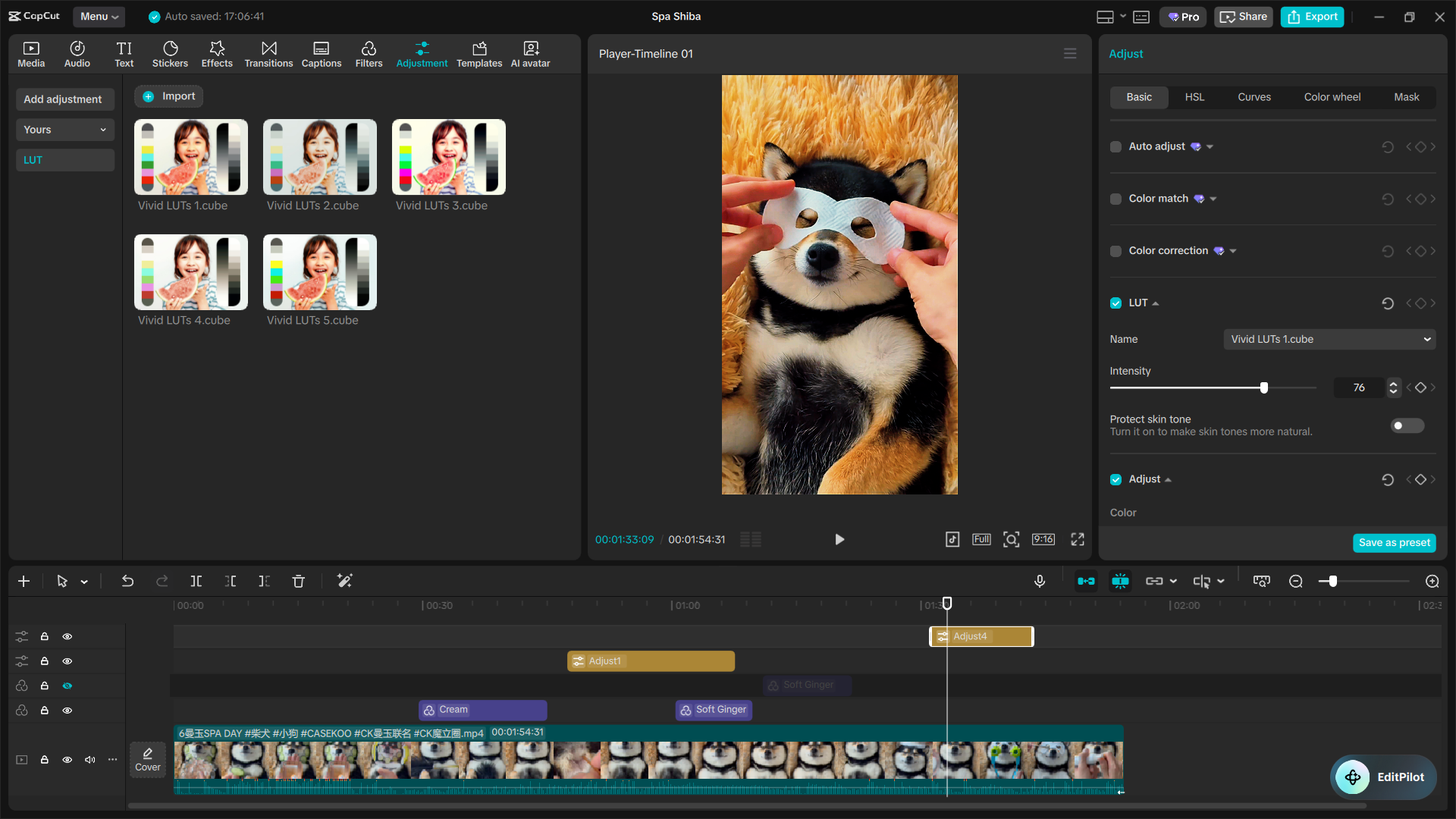 The Ultimate Capcut Color Grading Guide 12 Image 16