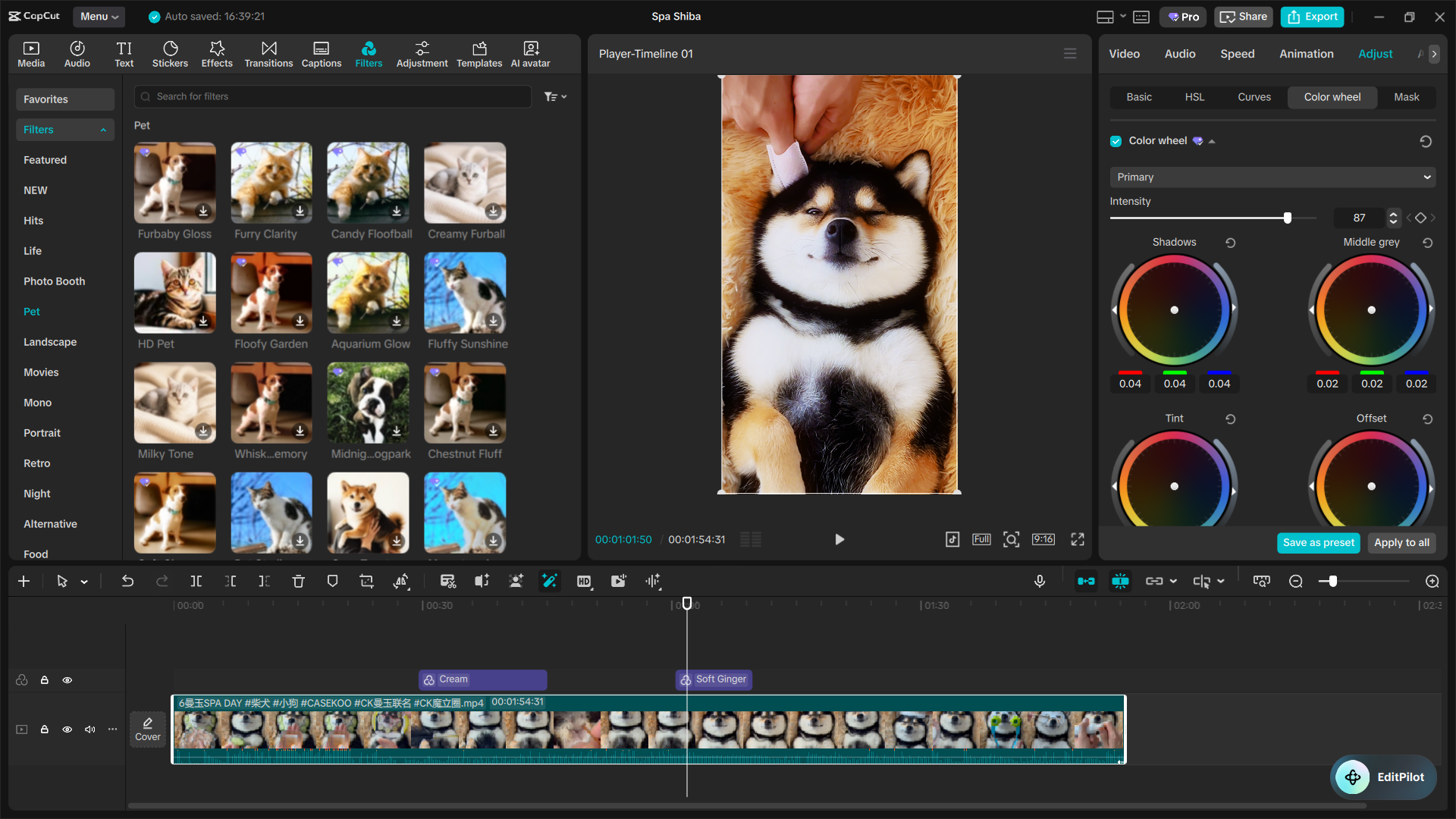 The Ultimate Capcut Color Grading Guide 4 Color Grade For Free On Capcut